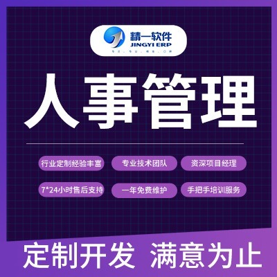 計算機(jī)軟件開發(fā)與咨詢 創(chuàng)新與賦能的雙引擎